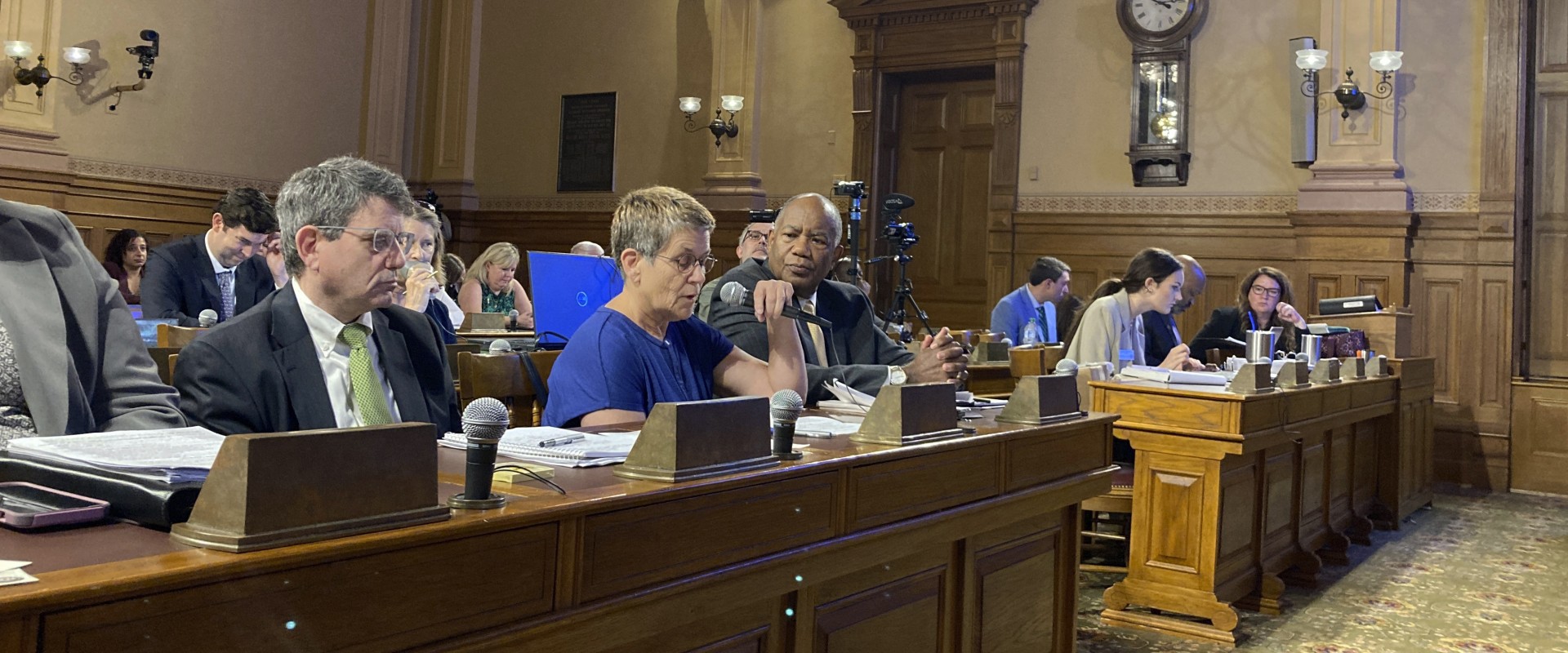 The Power of Public Officials in Hall County, Georgia